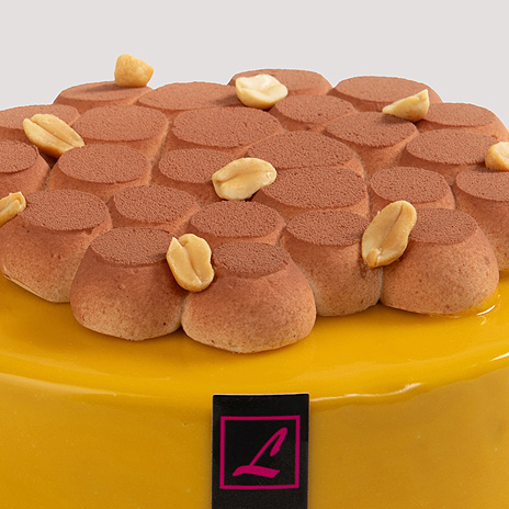 gâteaux entremets tartes Lesage Anemmasse